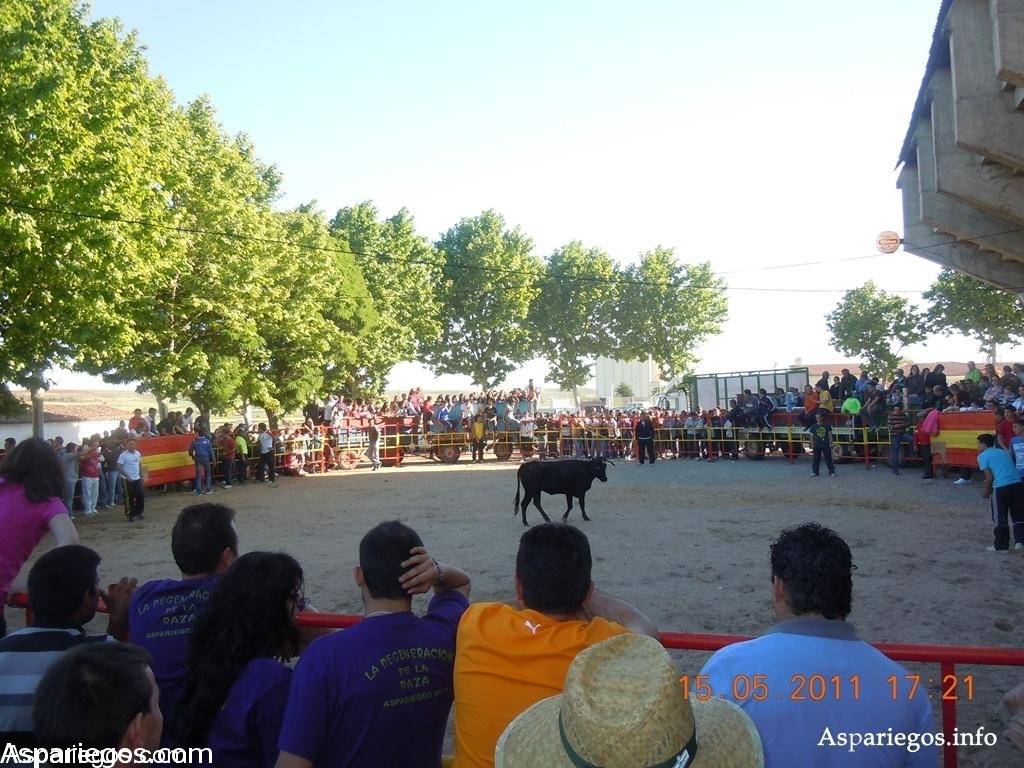 Vaquillas 2020