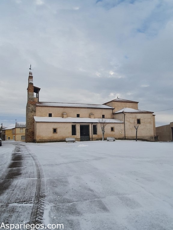 Aspariegos Nevado 2021